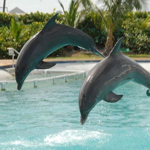 Meet your Posher, Bryan